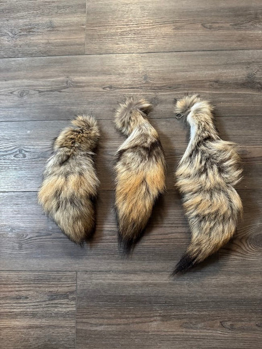 Coyote Tails