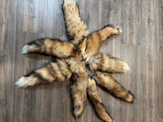 Red Fox Tails