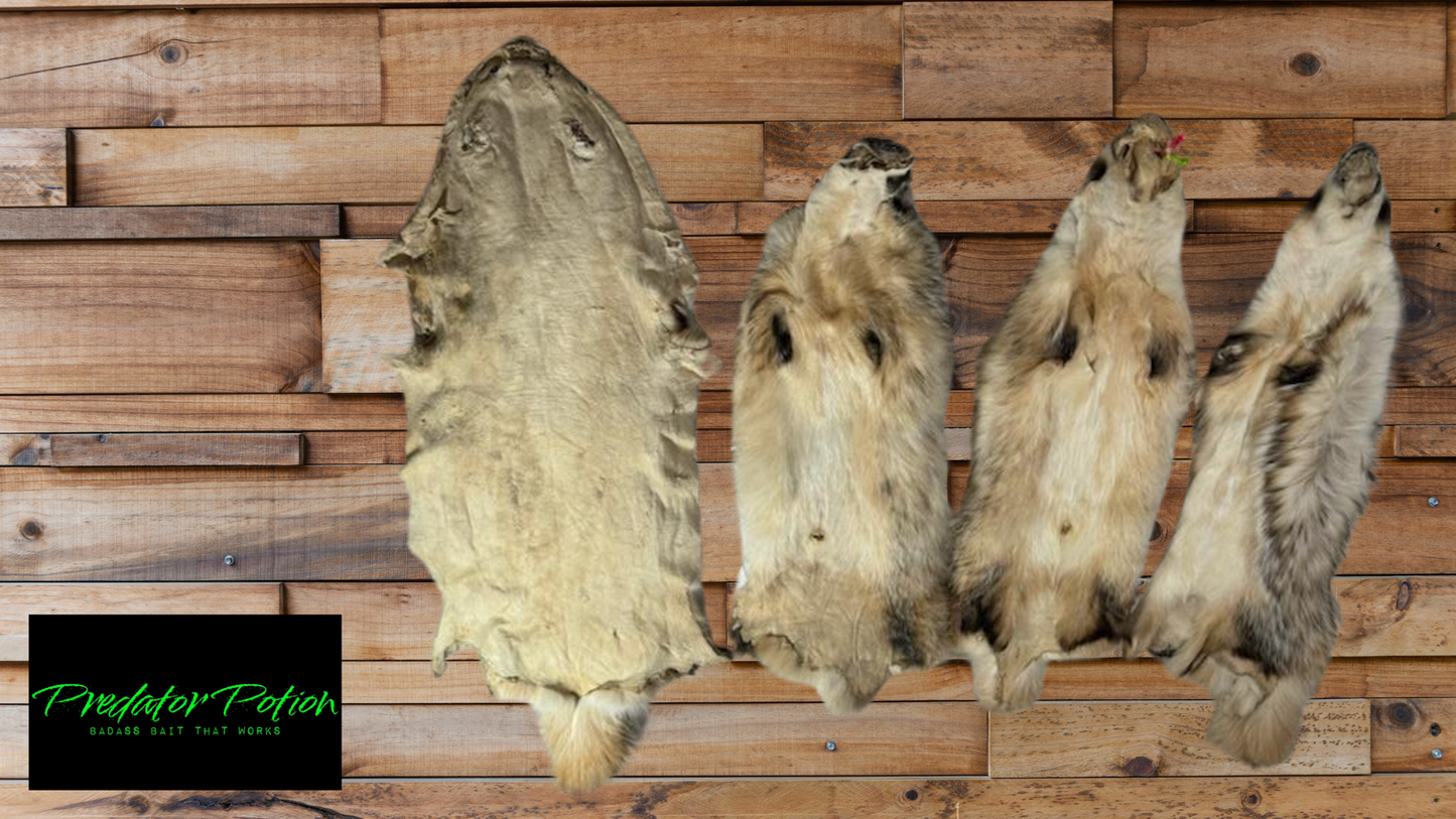 Tanned Badger Pelt Grade 1