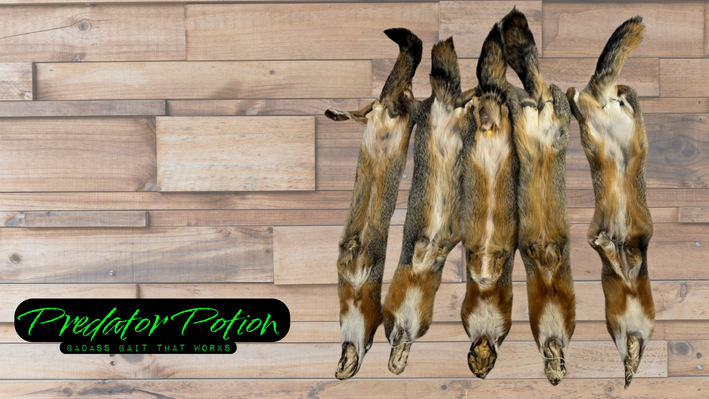 Tanned Red Fox Pelt Grade 1