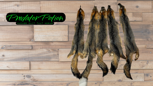 Tanned Grey Fox Pelt Grade 1