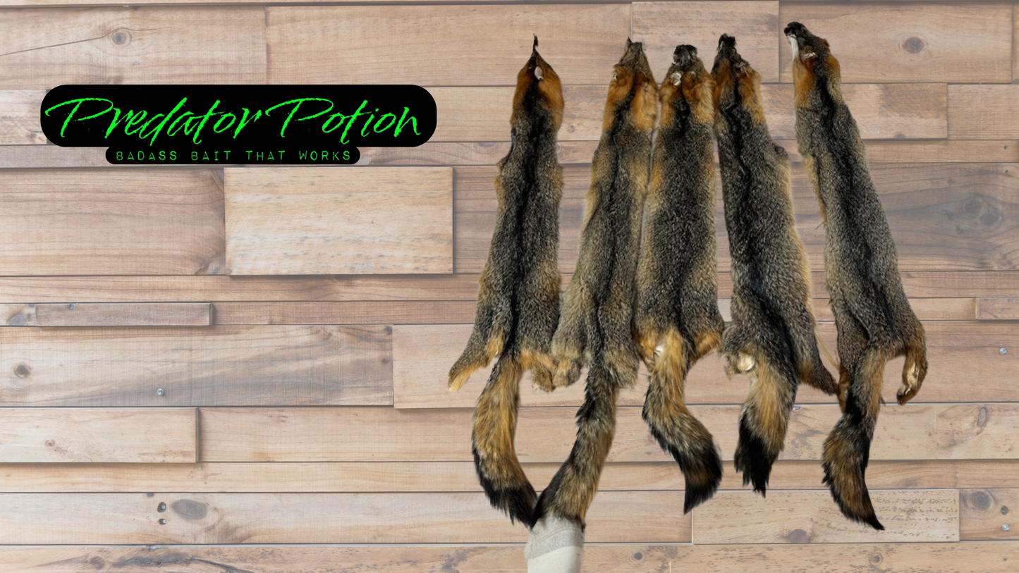 Tanned Grey Fox Pelt Grade 2